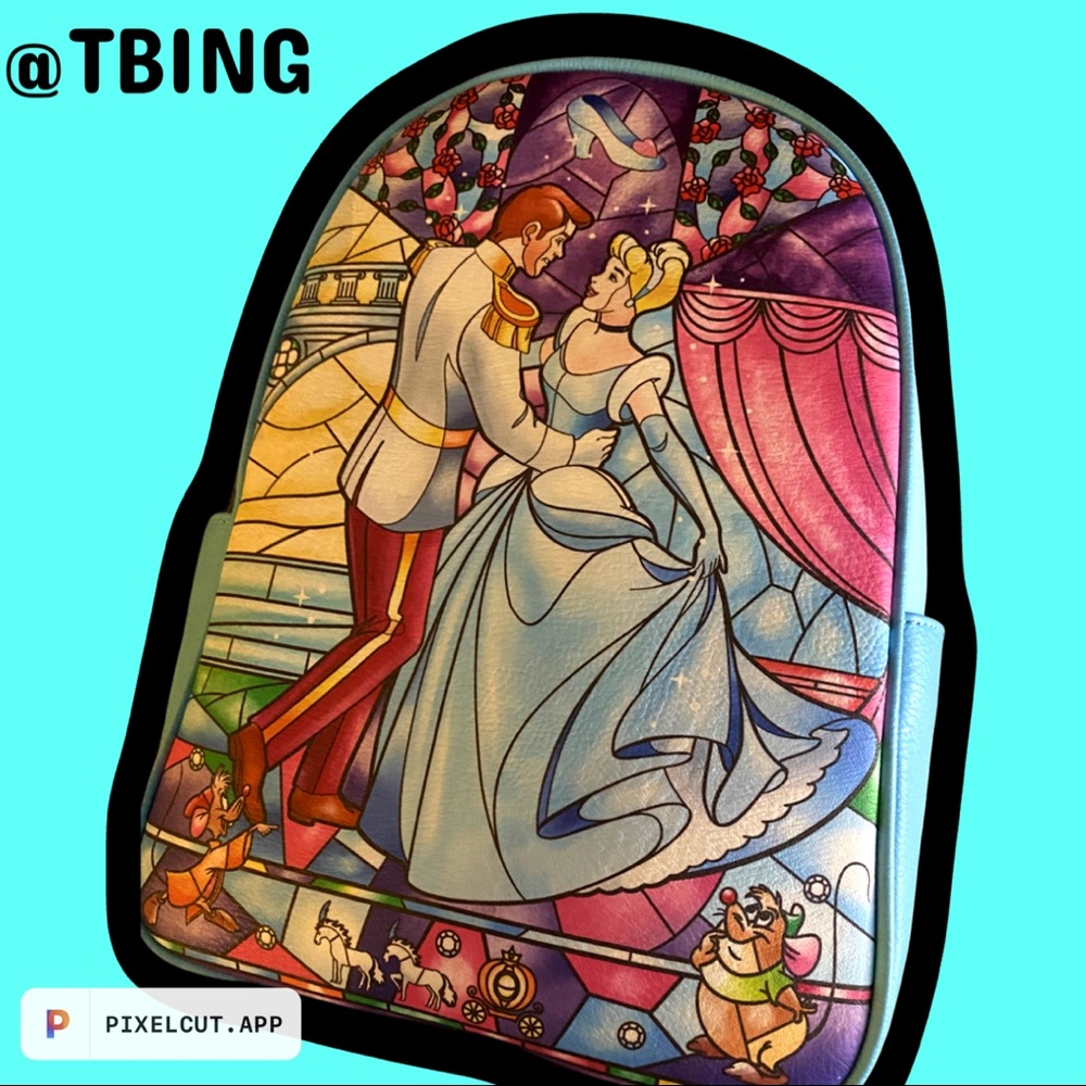 Princess Backpack bundle! - Picture 2 of 3